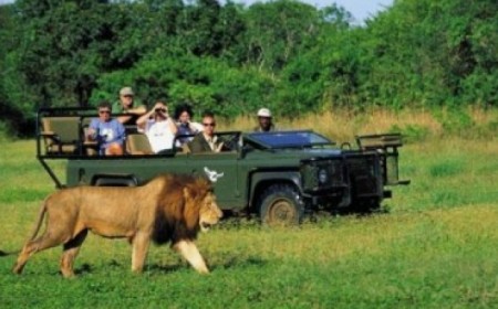 Paquete a Sudfrica desde Buen...