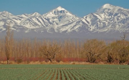 Paquete a Mendoza con Tour a l...