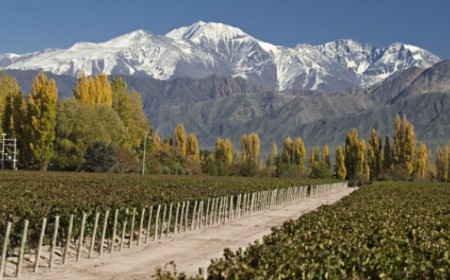 Viagem a Mendoza Argentina. To...